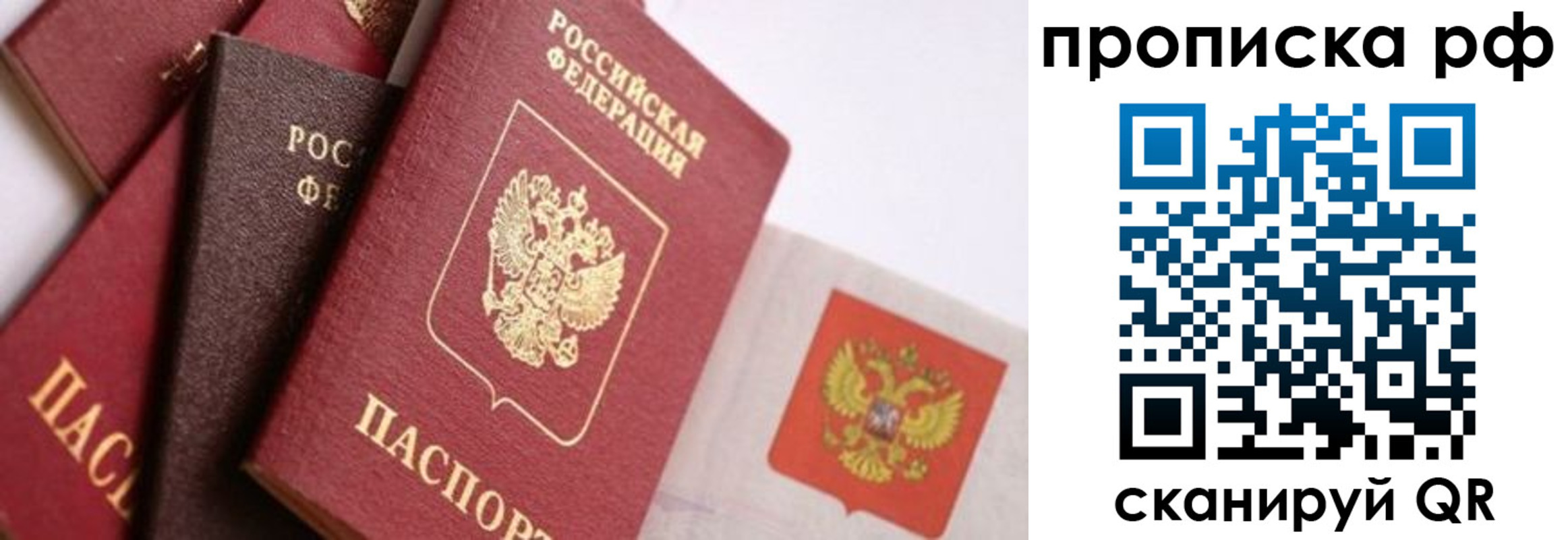 найти адрес прописки в Воронежской области